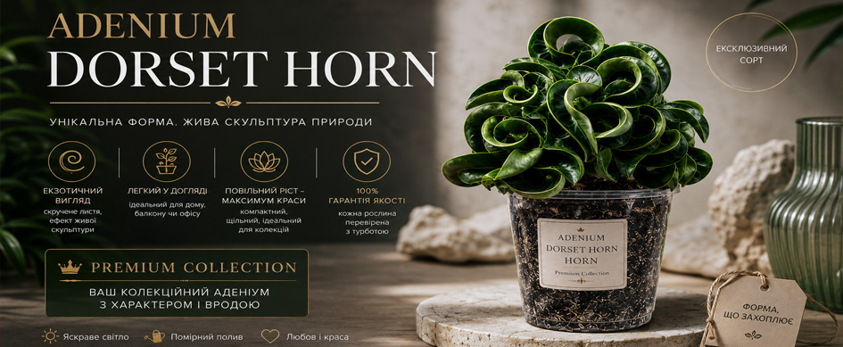 Аденіум 