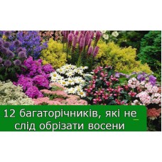 12 Багаторічників, які не варто обрізати восени