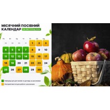 Посівний календар для садівника та городника Посівний календар для садівника та городника