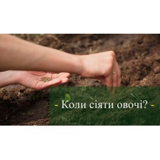 Коли сіяти овочі Коли сіяти овочі