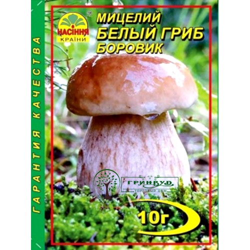 МИЦЕЛИЙ ЗЕРНОВОЙ БЕЛЫЙ ГРИБ "БОРОВИЧОК", 10 Г