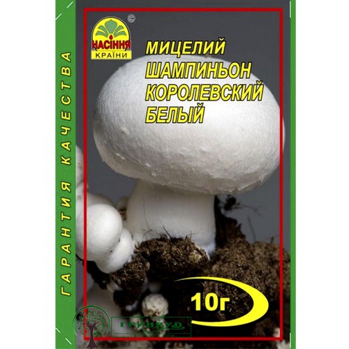 МИЦЕЛИЙ ЗЕРНОВОЙ ШАМПИНЬОН КОРОЛЕВСКИЙ БЕЛЫЙ, 10 Г