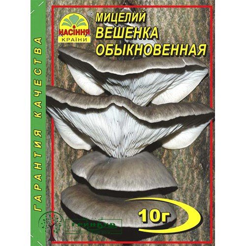 МИЦЕЛИЙ ЗЕРНОВОЙ ВЕШЕНКА ОБЫКНОВЕННАЯ, 10 Г