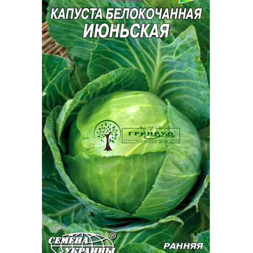 Купить СЕМЕНА КАПУСТА БЕЛОКОЧАННАЯ "ИЮНЬСКАЯ", 1 Г