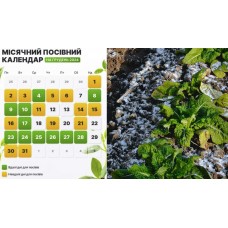 Місячний посівний календар на Грудень 2024 Місячний посівний календар на Грудень 2024