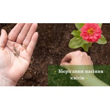Зберігання насіння квітів