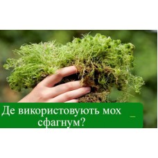 Мох сфагнум для орхидей