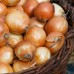 СЕМЕНА ЛУК РЕПЧАТЫЙ СТРИГУНОВСКИЙ 200 ШТ. ГЕЛИОС