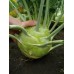 Купить СЕМЕНА КАПУСТА КОЛЬРАБИ "ГИГАНТ", 1 Г