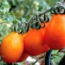 Купить СЕМЕНА ТОМАТ "ГРУША ОРАНЖЕВАЯ"/, 0,1 Г