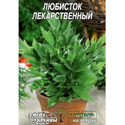 СЕМЕНА ЛЮБИСТОК ЛЕКАРСТВЕННЫЙ, 0,3 Г