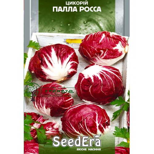 СЕМЕНА ЦИКОРИЙ "ПАЛЛА РОССА", 1 Г SEEDERA