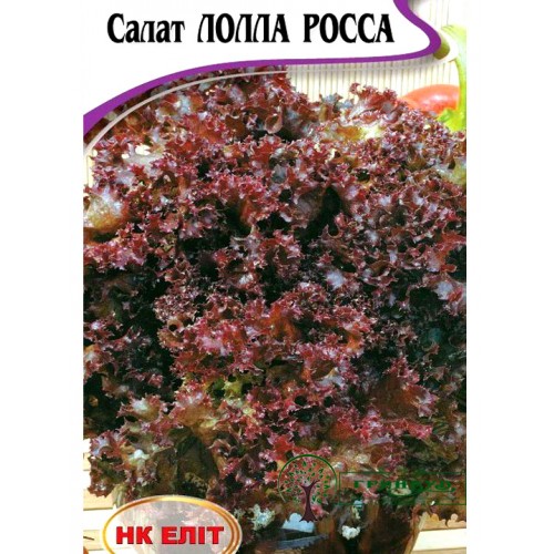 СЕМЕНА САЛАТ "ЛОЛЛА РОССА", 1 Г