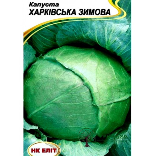 СЕМЕНА КАПУСТА БЕЛОКОЧАННАЯ ПОЗДНЯЯ "ХАРЬКОВСКАЯ ЗИМНЯЯ", 1 Г 
