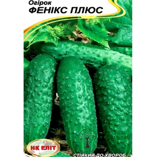 СЕМЕНА ОГУРЕЦ "ФЕНИКС ПЛЮС", 1 Г