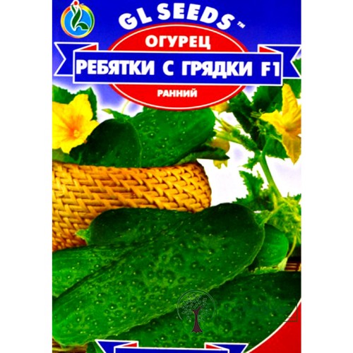 СЕМЕНА ОГУРЕЦ РАННИЙ РЕБЯТКИ С ГРЯДКИ F1, 0,5 Г GL SEEDS
