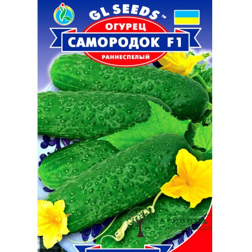 СЕМЕНА ОГУРЕЦ САМОРОДОК F1, 0,5 Г GL SEEDS