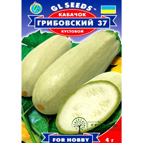 СЕМЕНА КАБАЧОК КУСТОВОЙ ГРИБОВСКИЙ 37, 3 Г GL SEEDS