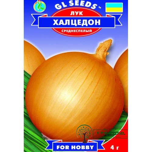 СЕМЕНА ЛУК ХАЛЦЕДОН 2 Г GL SEEDS