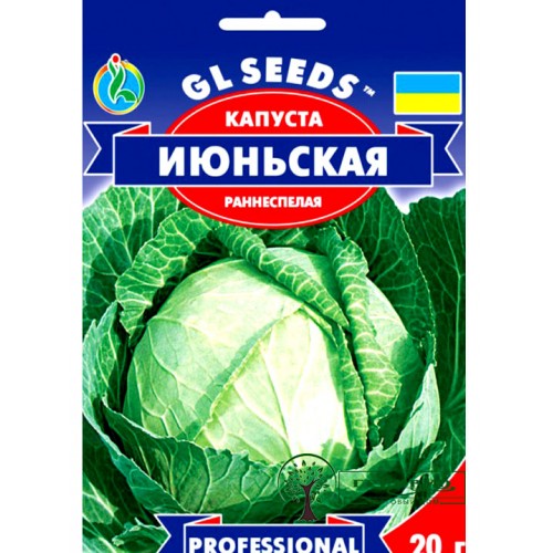 СЕМЕНА КАПУСТА БЕЛОКОЧАННАЯ РАННЯЯ ИЮНЬСКАЯ, 1 Г GL SEEDS