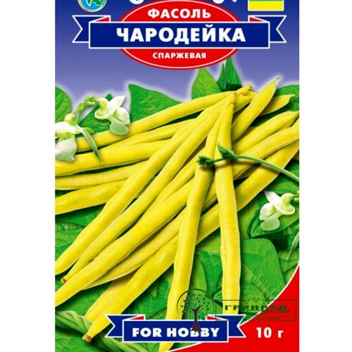 СЕМЕНА ФАСОЛЬ СПАРЖЕВАЯ ЧАРОДЕЙКА, 10 Г GL SEEDS