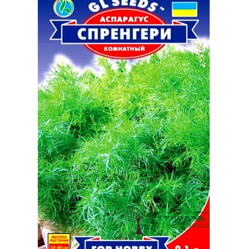 СЕМЕНА АСПАРАГУС СПРЕНГЕРИ 0,1 Г GL SEEDS
