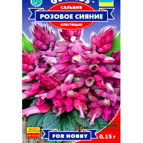 СЕМЕНА САЛЬВИЯ РОЗОВОЕ СИЯНИЕ, 0,15 Г GL SEEDS