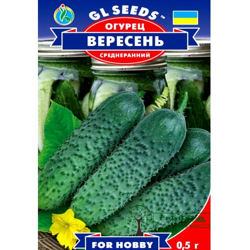 СЕМЕНА ОГУРЕЦ ВЕРЕСЕНЬ, 0,5 Г GL SEEDS