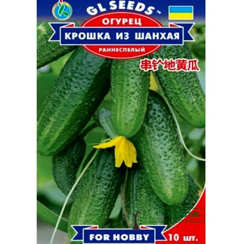 СЕМЕНА ОГУРЕЦ КРОШКА ИЗ ШАНХАЯ, 10 ШТ. GL SEEDS