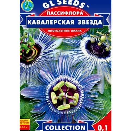 СЕМЕНА ПАССИФЛОРА КАВАЛЕРСКАЯ ЗВЕЗДА 0,1 Г GL SEEDS