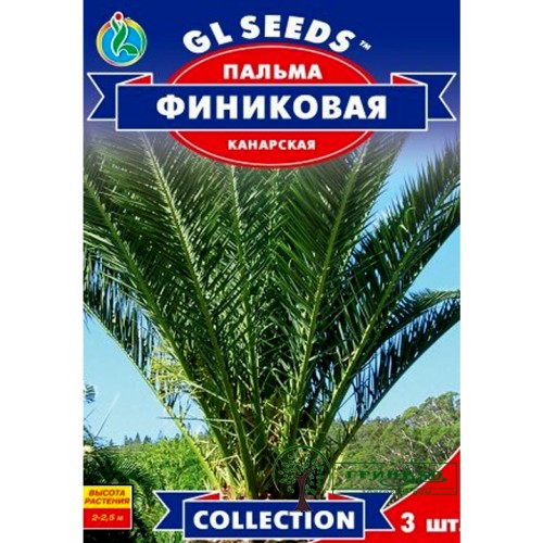 СЕМЕНА ПАЛЬМА ФИНИКОВАЯ 5 ШТ. GL SEEDS