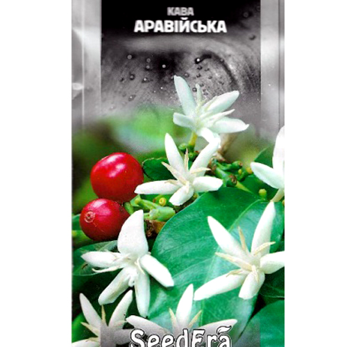 СЕМЕНА КОФЕ АРАВИЙСКИЙ, 10 ШТ. SEEDERA