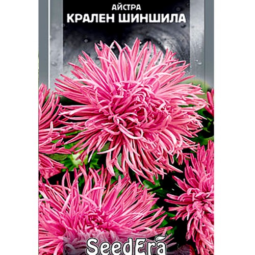 СЕМЕНА АСТРА ВЫСОКОРОСЛАЯ "КРАЛЕН ШИНШИЛА", 0,25 Г