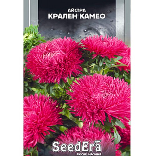 СЕМЕНА АСТРА ВЫСОКОРОСЛАЯ "КРАЛЕН КАМЕО", 0,25 Г
