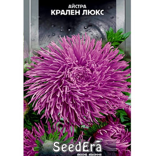 СЕМЕНА АСТРА ВЫСОКОРОСЛАЯ "КРАЛЕН ЛЮКС",0,25 Г