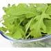 СЕМЕНА РУККОЛА ДЕЛИКАТЕСНАЯ, 2 Г /GL SEEDS/