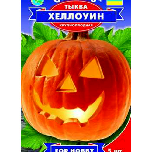 СЕМЕНА ТЫКВА ХЕЛЛОУИН, 5 ШТ. GL SEEDS