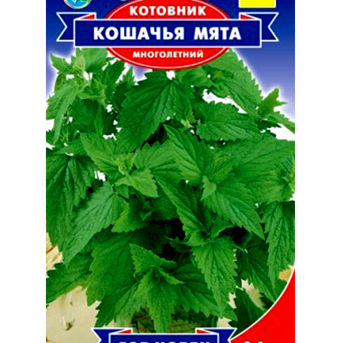 СЕМЕНА КОТОВНИК КОШАЧЬЯ МЯТА, 0,1 Г GL SEEDS