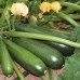 СЕМЕНА ЦУККИНИ "СКВОРУШКА", 3 Г GL SEEDS СЕМЕНА ЦУККИНИ "СКВОРУШКА", 3 Г GL SEEDS