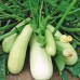 СЕМЕНА КАБАЧОК "КУСТОВОЙ", 3 Г GL SEEDS