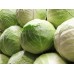СЕМЕНА КАПУСТА ПОЗДНЯЯ "ХАРЬКОВСКАЯ ЗИМНЯЯ", 1 Г /GL SEEDS/ СЕМЕНА КАПУСТА ПОЗДНЯЯ "ХАРЬКОВСКАЯ ЗИМНЯЯ", 1 Г /GL SEEDS/