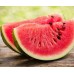СЕМЕНА АРБУЗ РАННИЙ "ЧАРОДЕЙ", 3 Г GL SEEDS СЕМЕНА АРБУЗ РАННИЙ "ЧАРОДЕЙ", 3 Г GL SEEDS
