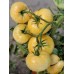 СЕМЕНА ТОМАТ "БЕЛЫЙ ПЛОМБИР", 0,1 Г GL SEEDS СЕМЕНА ТОМАТ "БЕЛЫЙ ПЛОМБИР", 0,1 Г GL SEEDS