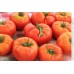 СЕМЕНА ТОМАТ РАННИЙ "КИЕВСКИЙ 139", 0,5 Г /GL SEEDS/ СЕМЕНА ТОМАТ РАННИЙ "КИЕВСКИЙ 139", 0,5 Г /GL SEEDS/