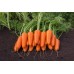 СЕМЕНА МОРКОВЬ ДЕТСКАЯ F1 3 Г GL SEEDS
