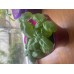 СЕМЕНА БАЗИЛИК "ВАЗОННЫЙ", 0,5 Г GL SEEDS