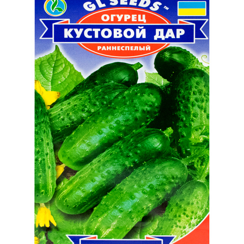 СЕМЕНА ОГУРЕЦ КУСТОВОЙ ДАР, 1 Г GL SEEDS
