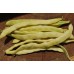 СЕМЕНА ФАСОЛЬ СПАРЖЕВАЯ "ПАНТЕРА", 10 Г GL SEEDS СЕМЕНА ФАСОЛЬ СПАРЖЕВАЯ "ПАНТЕРА", 10 Г GL SEEDS