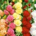 СЕМЕНА МАЛЬВА "ГИРЛЯНДА", 0,5 Г /GL SEEDS/ СЕМЕНА МАЛЬВА "ГИРЛЯНДА", 0,5 Г /GL SEEDS/