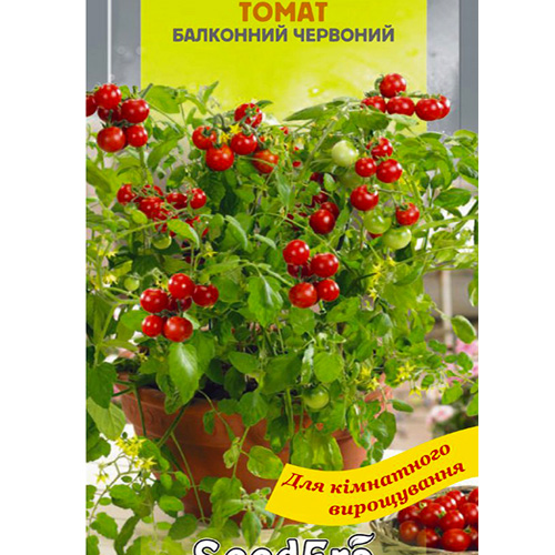 СЕМЕНА ТОМАТ "БАЛКОННЫЙ КРАСНЫЙ", 10 ШТ. SEEDERA